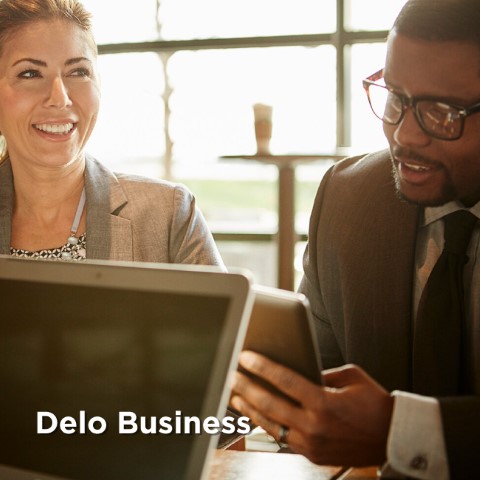 Delo Business